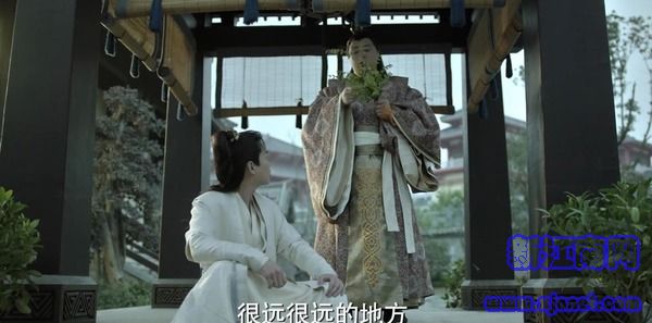 �������20������