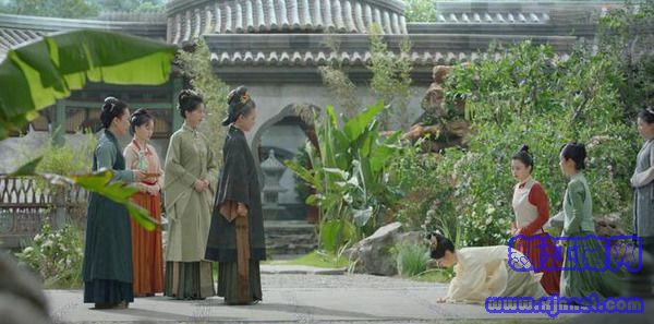 锦心似玉第29集剧照