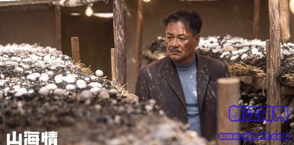 ɽ�����12������