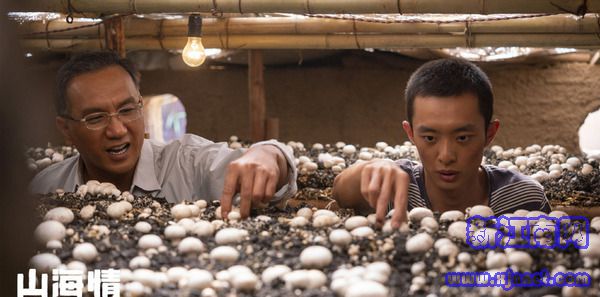 ɽ�����10������