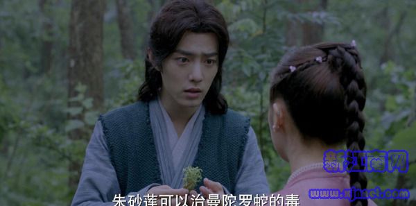 斗罗大陆第5集剧照