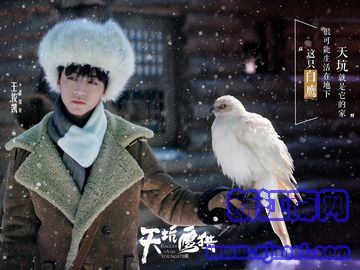 ���ӥ�� ������